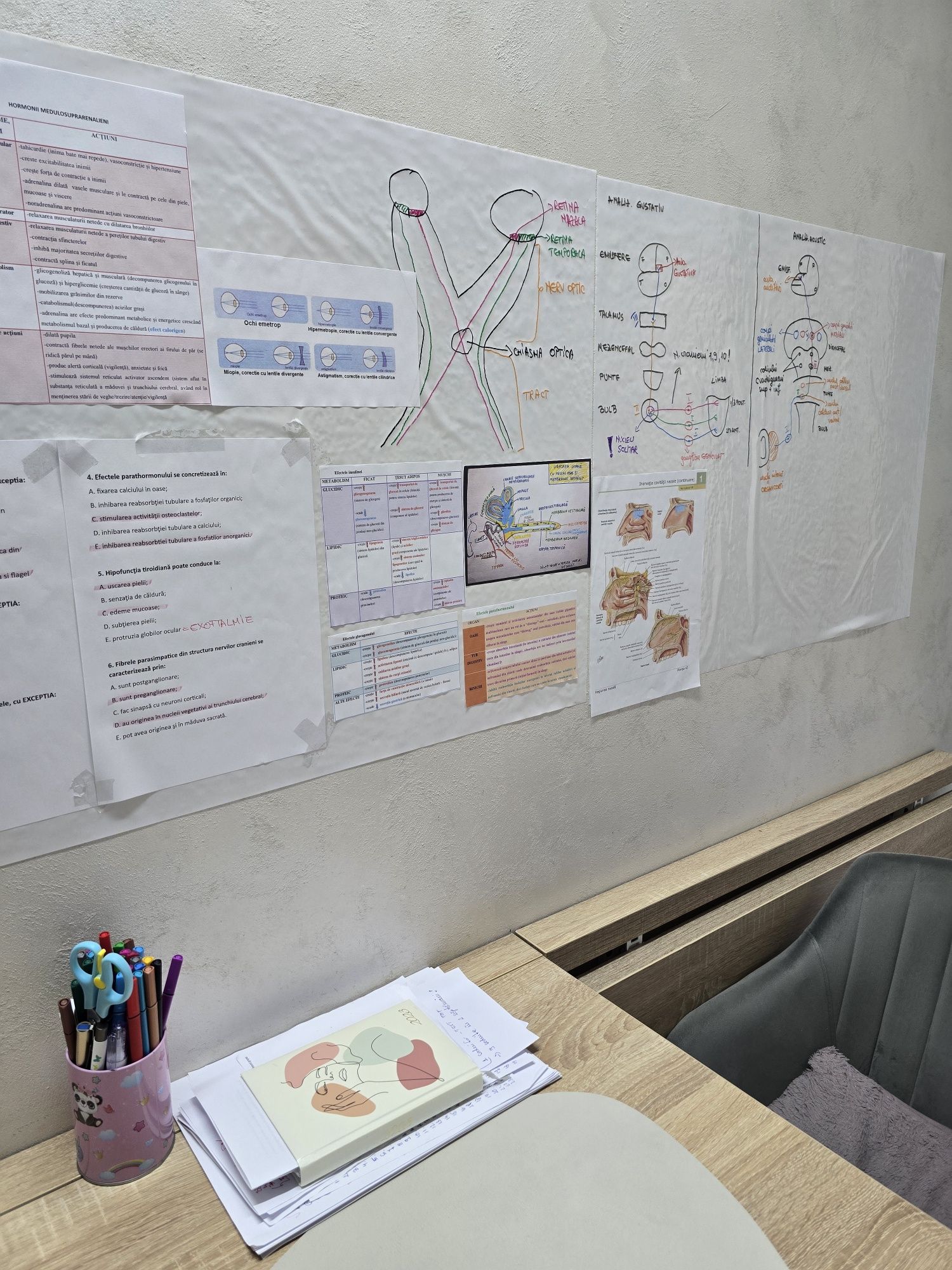 Meditatii biologie