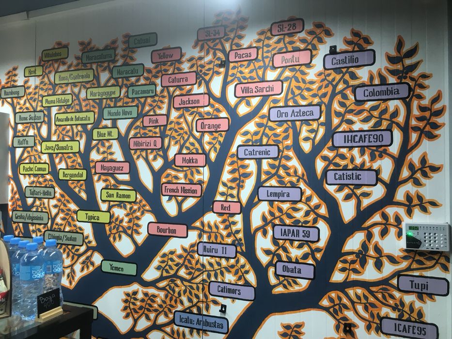 Художник (роспись стен, стендов, леттеринг)