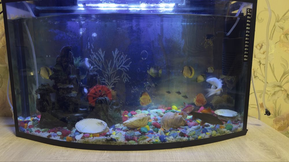 Аквариюм 1метрлик
