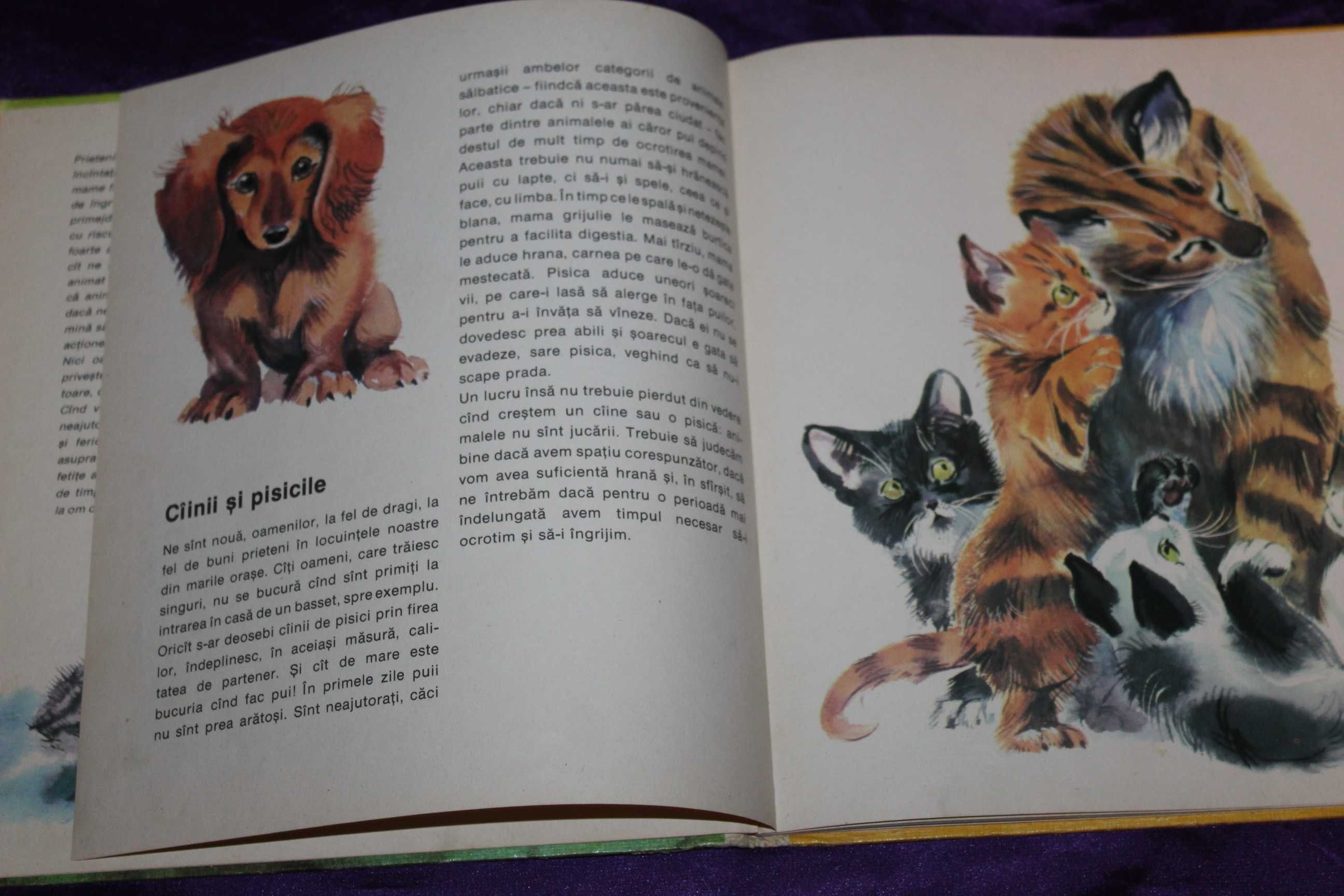 Lot carti pentru copii animale caini prima mea carte de zoologie