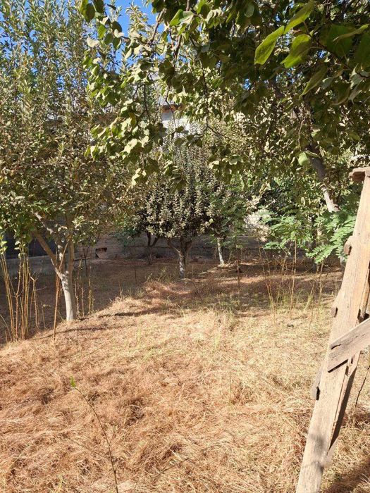 № 3629.Мотрид кургонида Уй Сотилади.