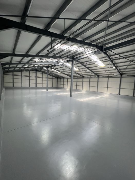 Hale de inchiriat Ovidiu Constanta / Langa autostrada A4