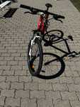 Salut vand bicicleta  mtb focus