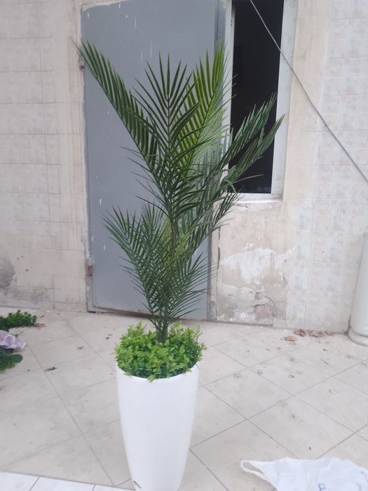 Продам срочно искуственную пальму
