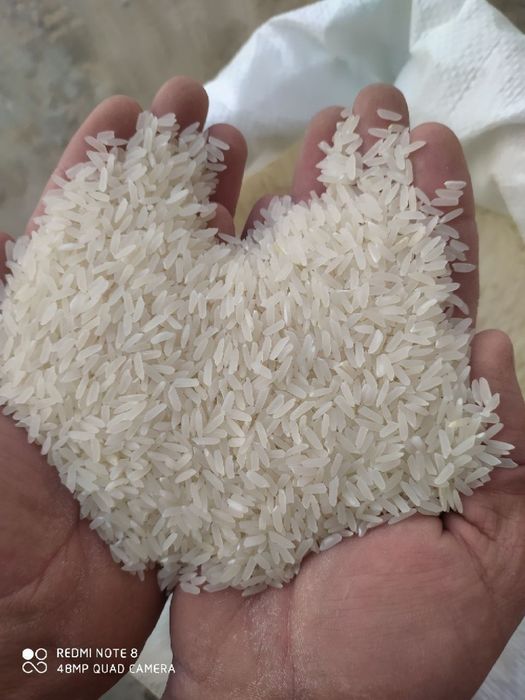 Guruch,Lazer,рис,гуруч,груч