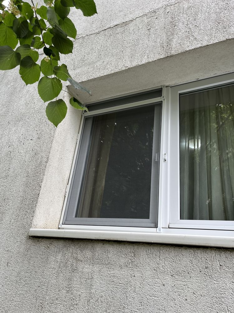 Plase Tantari /insecte toate culorile