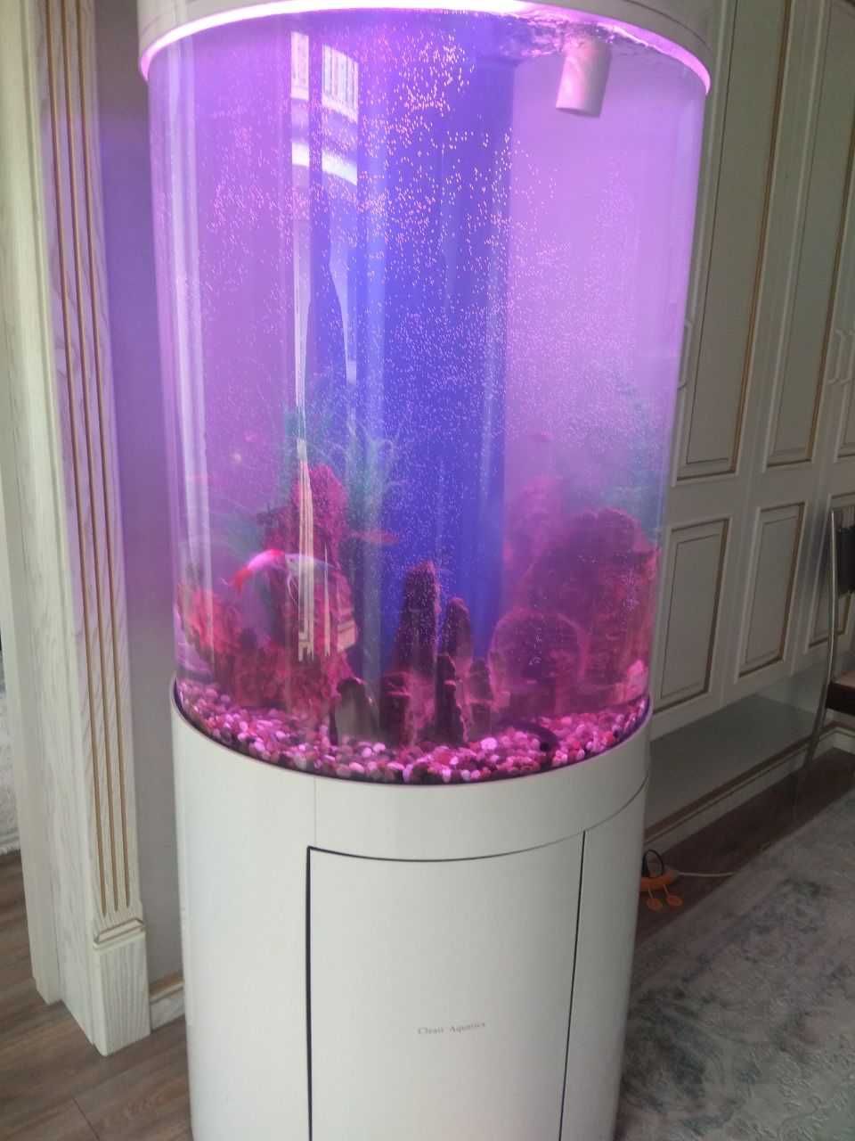 Профессиональная чистка аквариума AQUALIFE