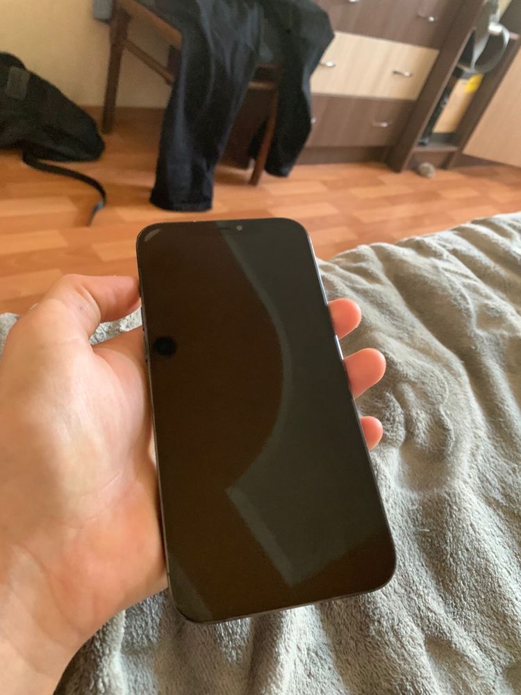 iphone 12 pro max