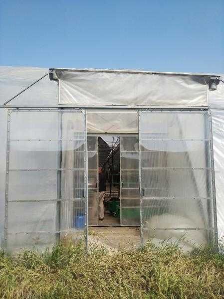 "Issiqxona" (zamonaviy tipdagi)