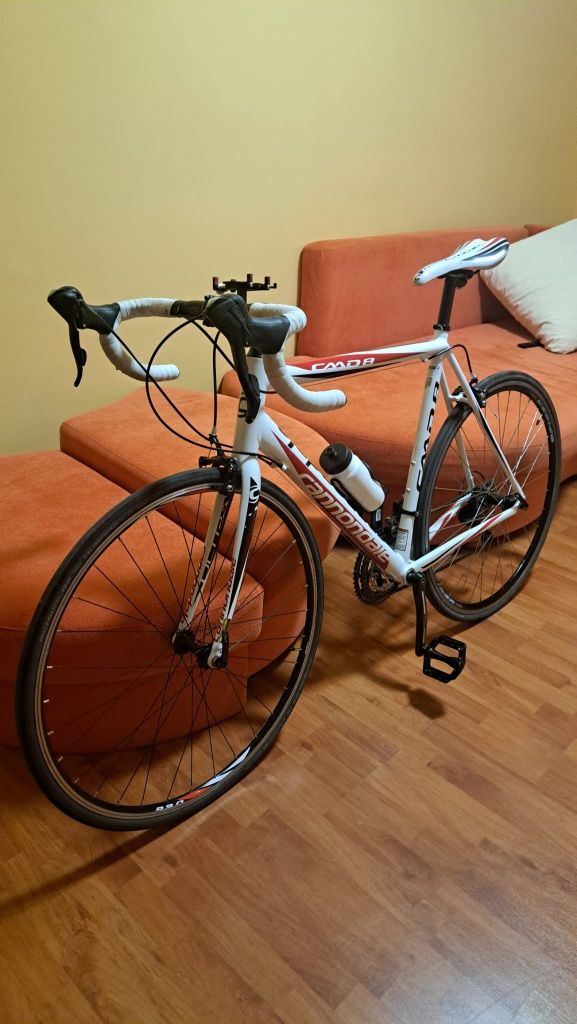 Cursiera Cannondale CAAD8