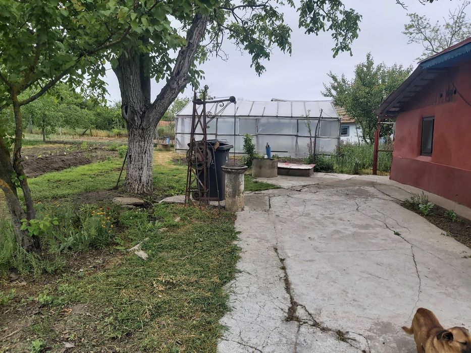 Casă la țară în Răsuceni Giurgiu