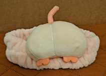 Bentita par Miniso model porc