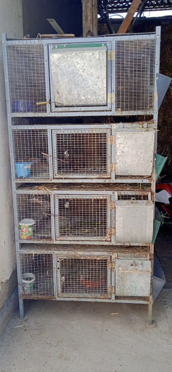Quyon xona sotiladi Sfatli qlib yasalgan xamma sharoyiti bor