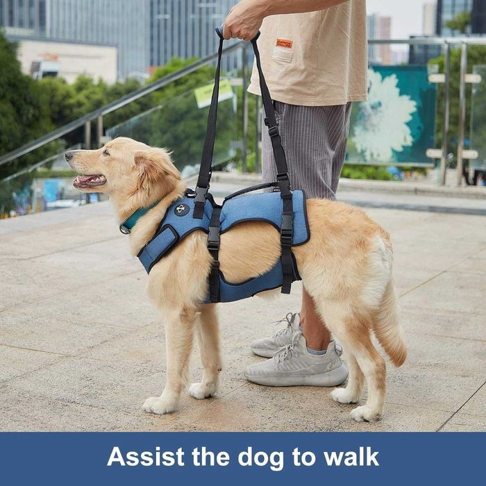 Dog lift harness