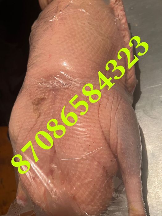 Продам мясо гуся,звонить по номеру