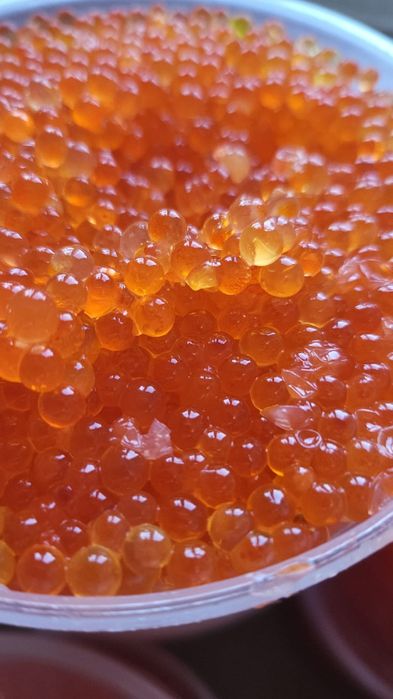 Продам икру красную и чёрную