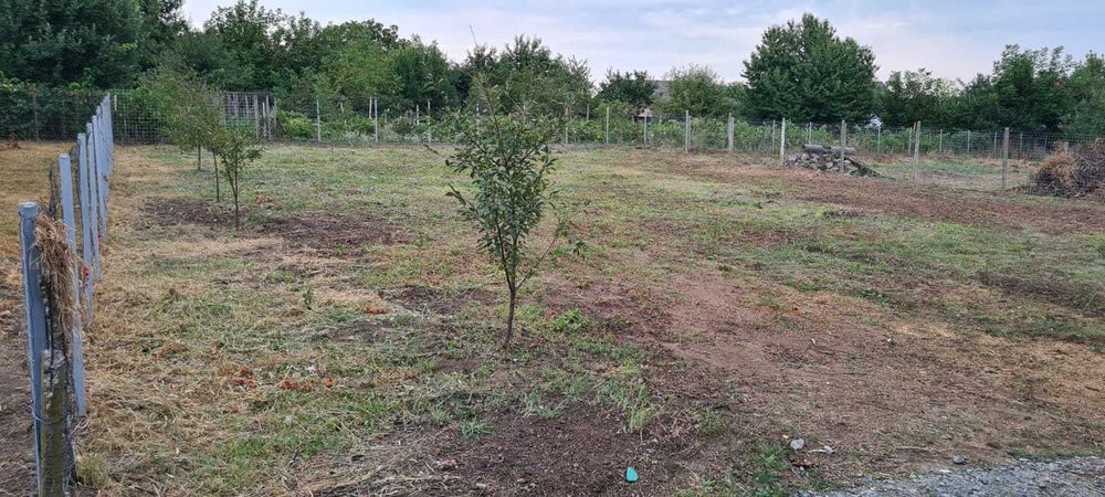 Teren intravilan 454 mp – Valea Lupului, str. Măcrișului