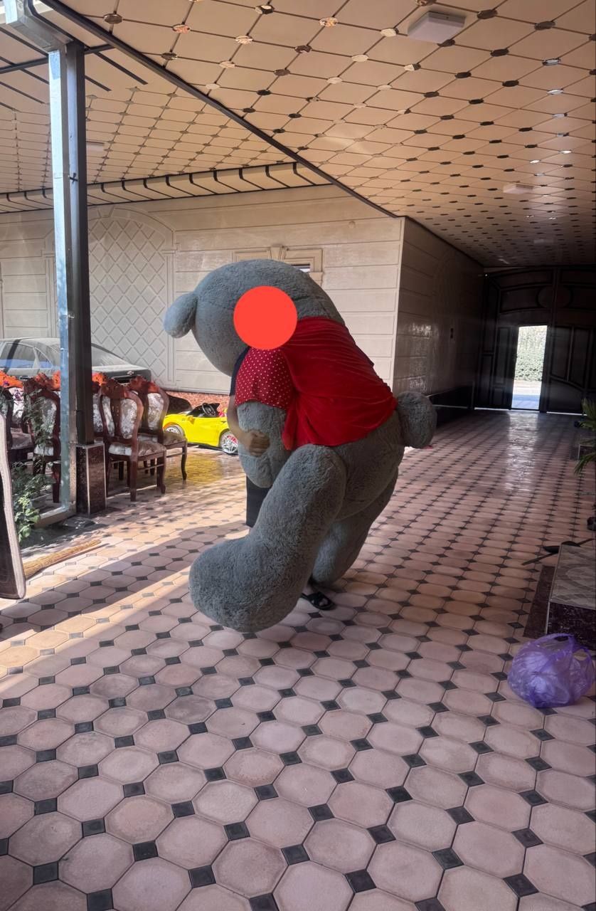 Teddiy ayiqchamz bor hali yapyangi ajoyib sovg'a