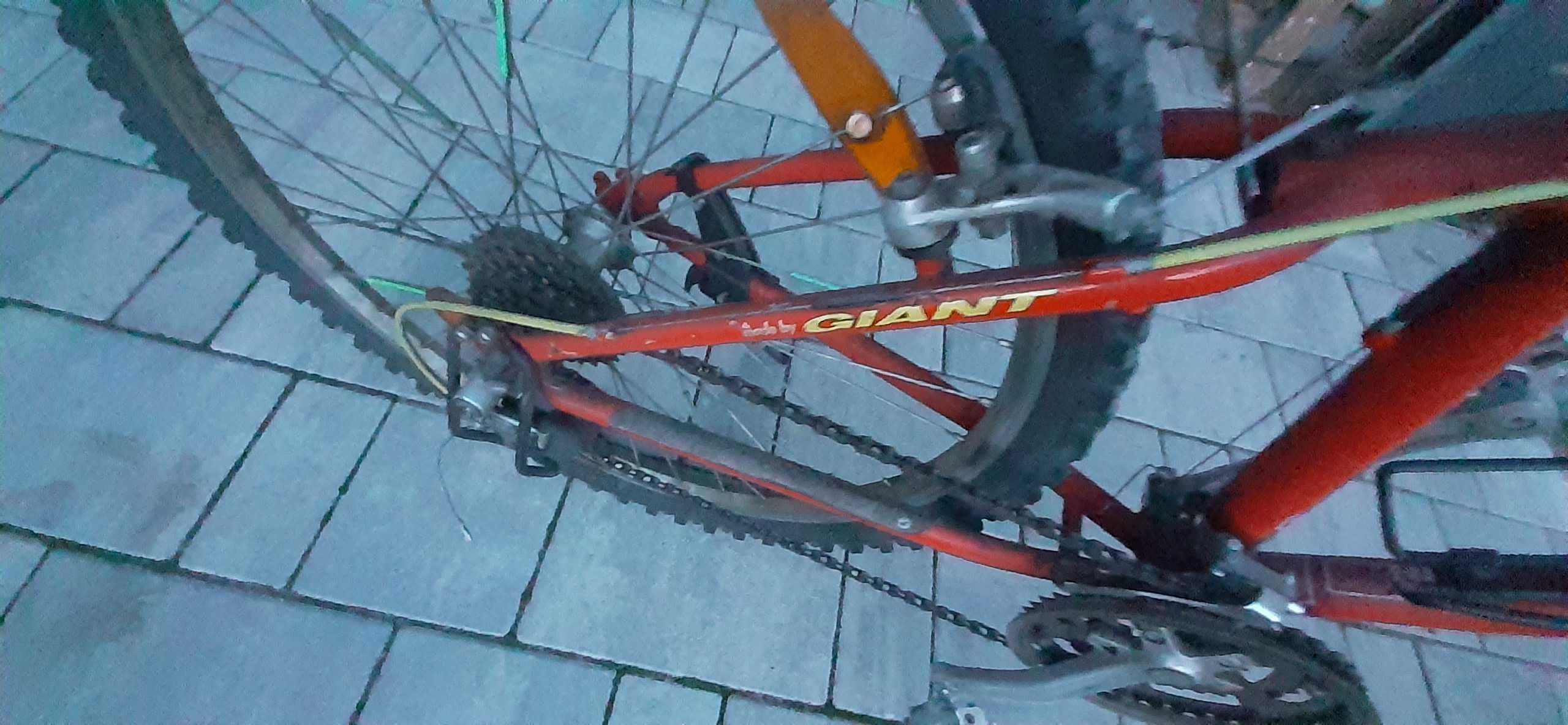 Vand bicicleta Formula 1 ..3 viteze