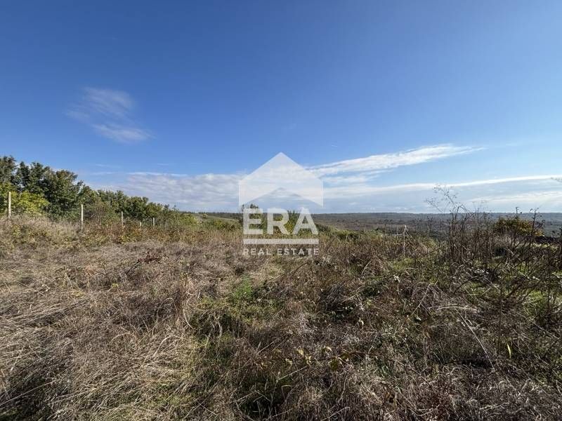 ЕКСКЛУЗИВНО! Два съседни парцела В РЕГУЛАЦИЯ в с. Здравец, обл. Варна