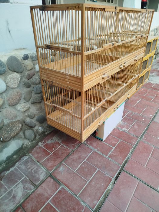 Кафас сотилади иккови хам яхши холатда