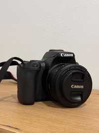 Canon 250D + canon EF lens 50mm 1.8stm