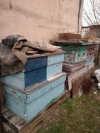 Продаются Улья для пчёл.