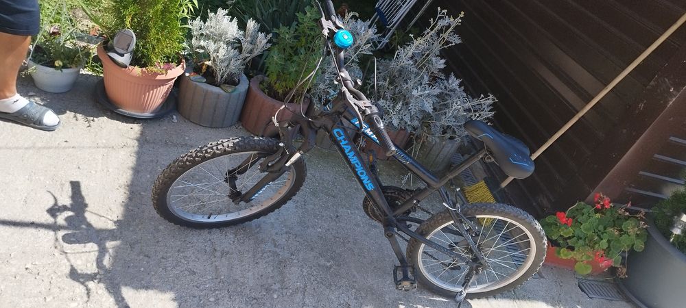 Bicicleta pentru copii