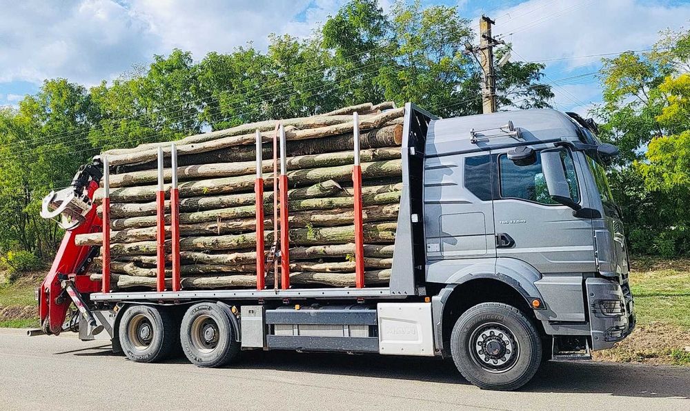 Lemn de foc paletizat: FAG/RASINOASE