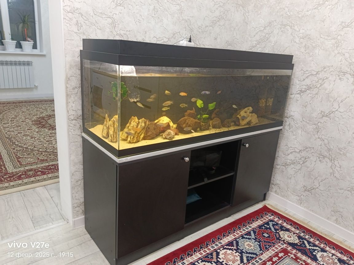 Продаю аквариум .