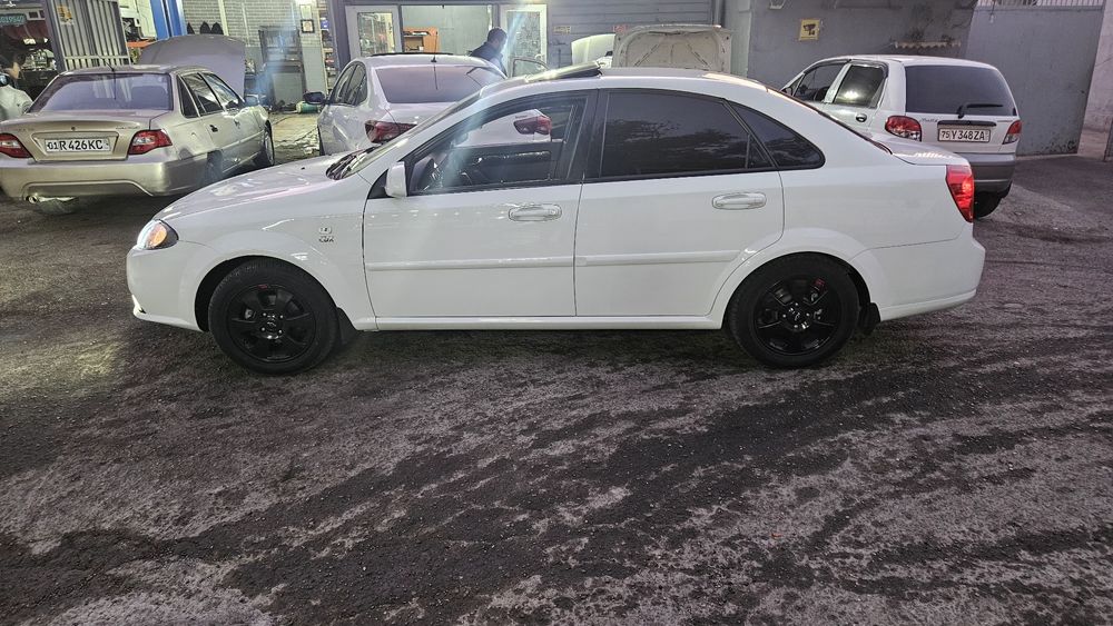 Arenda Jentra Elgant puls  2022