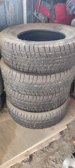 Шина зимняя Triangle