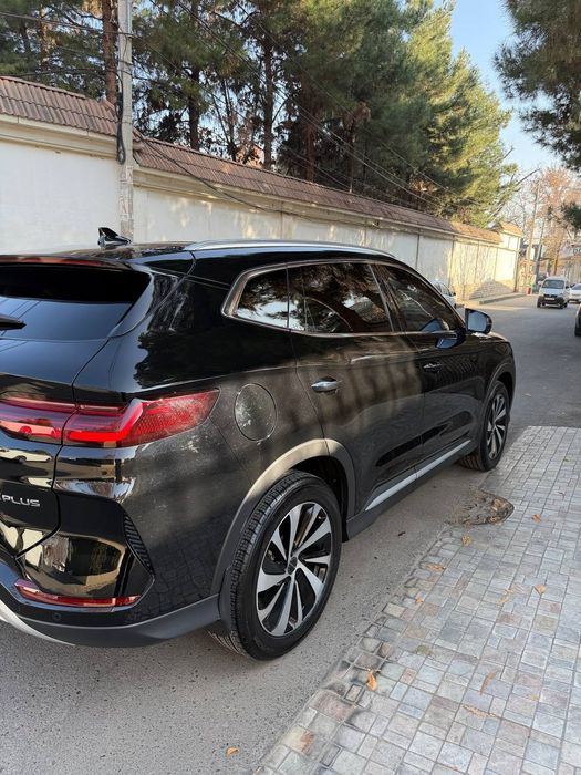 Chempion 2024 full pozisiya