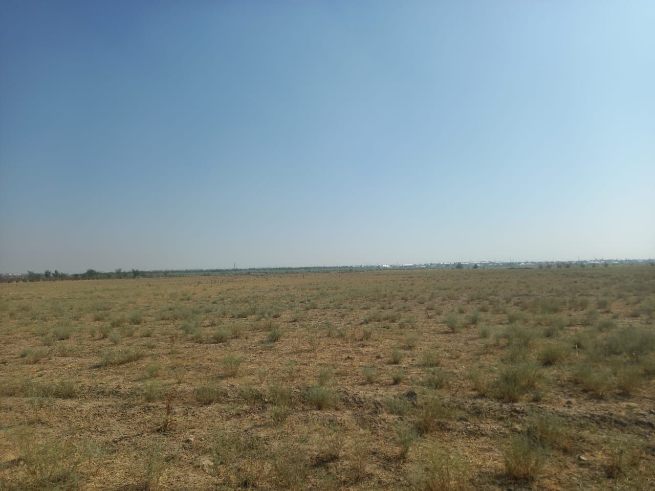 5 гектаров земли рядом аэропорта