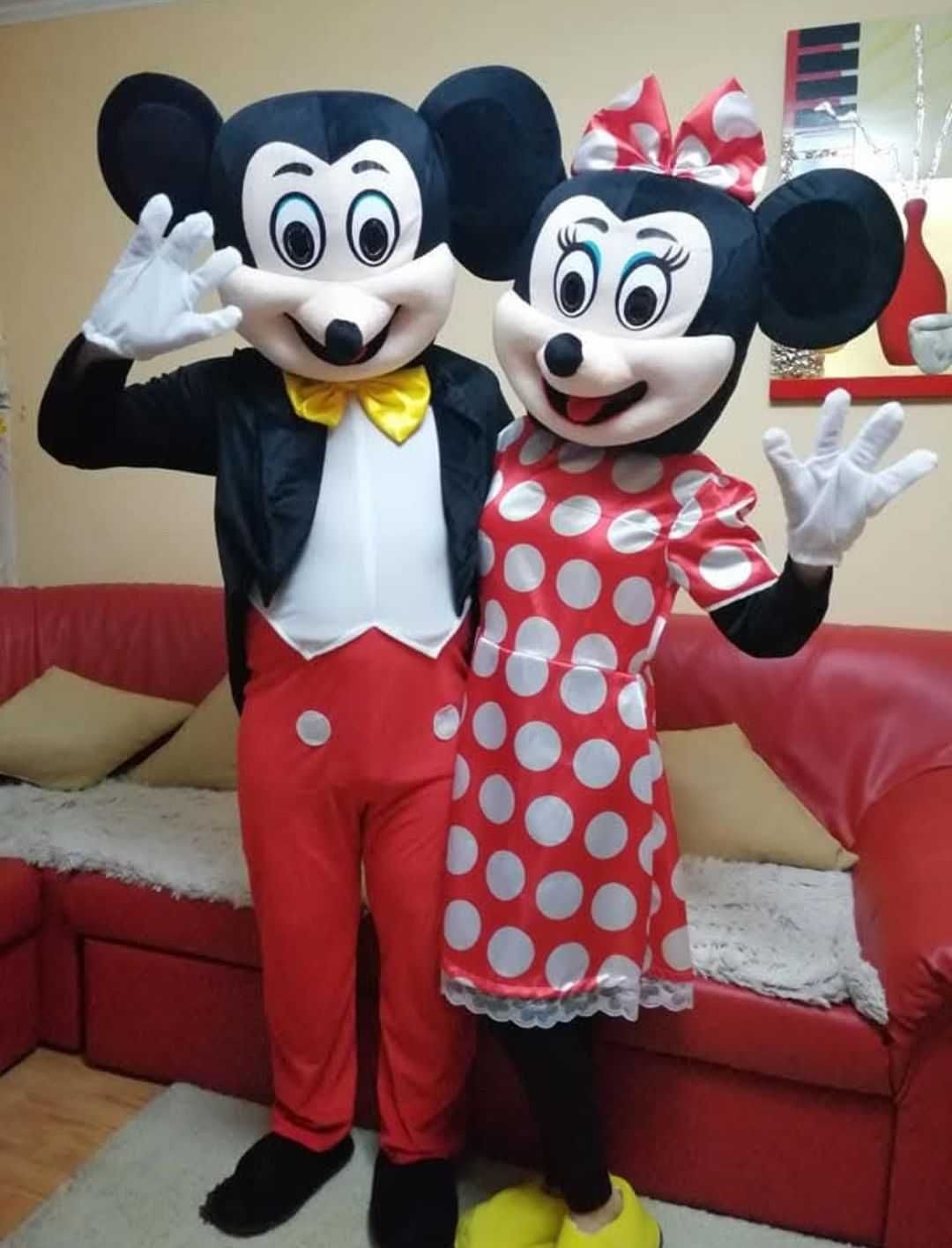 Vând costume de mickey și minni