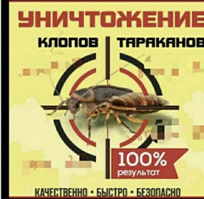 Дезинфекция  тараканов, блох, муравьев, комаров,клопы