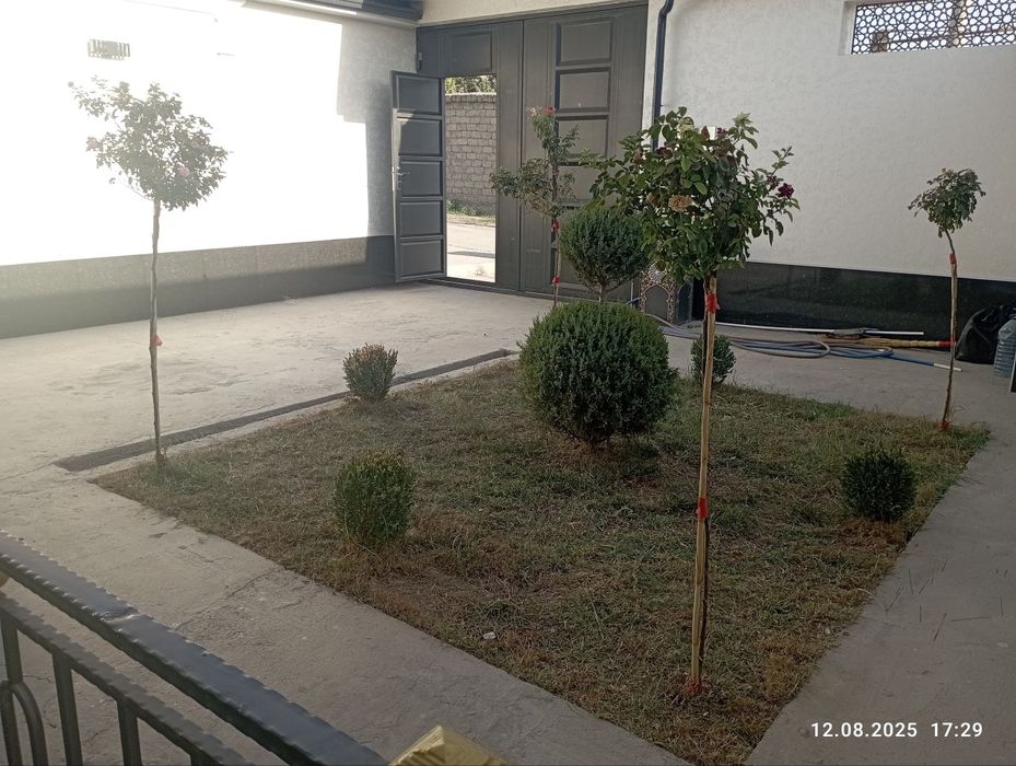 Tarnovdan 1,5 km kirganda repromda