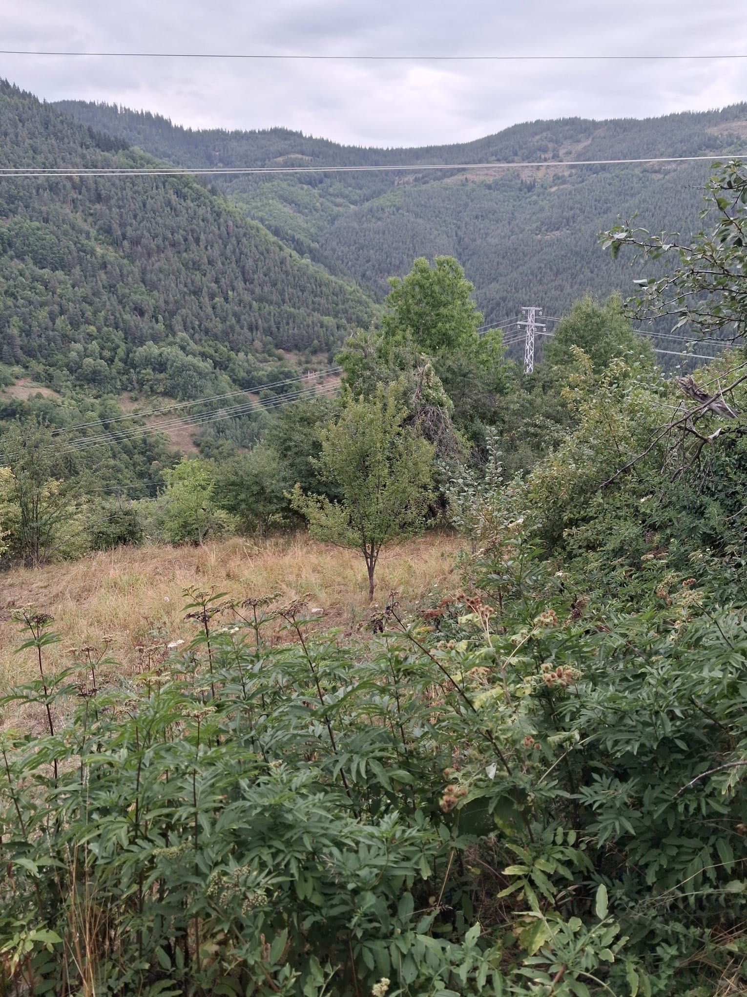 Къща в Село Джурково