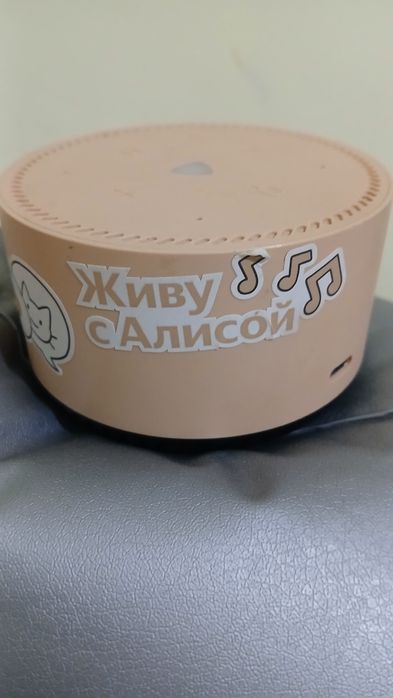 АЛИСЯ мини калонка