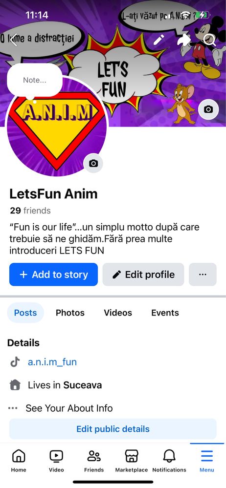 Entertainer/ Animator  petreceri pentru copii