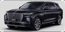 hongqi e hs9 elekramobil