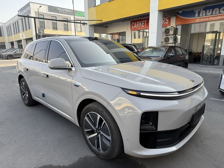 Li 6 max gibrid 2024