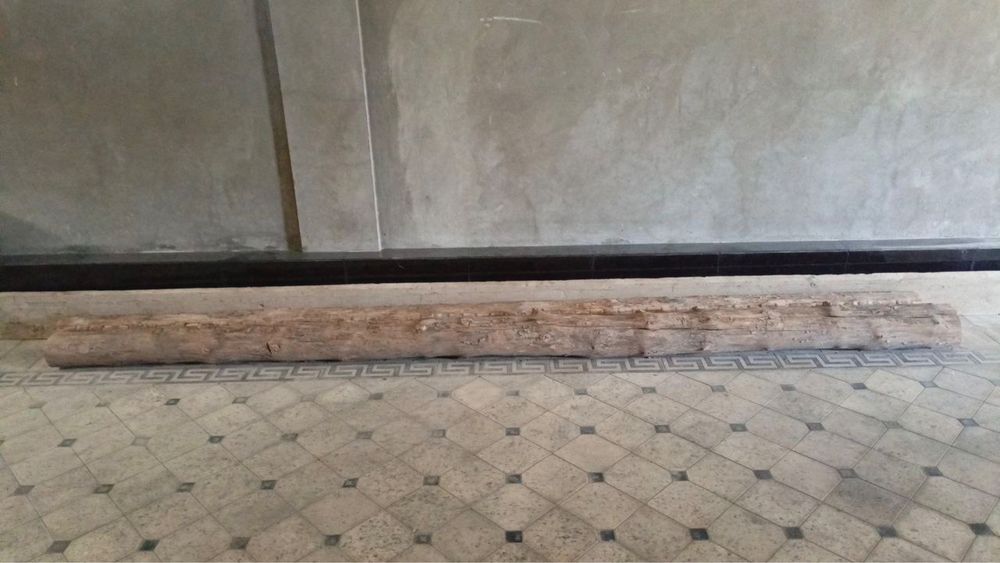 Сосна российский болор 4 дона 4 метрлик. Битта тахта 6 метрлик