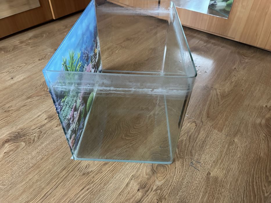 Vand acvarii cu accesorii