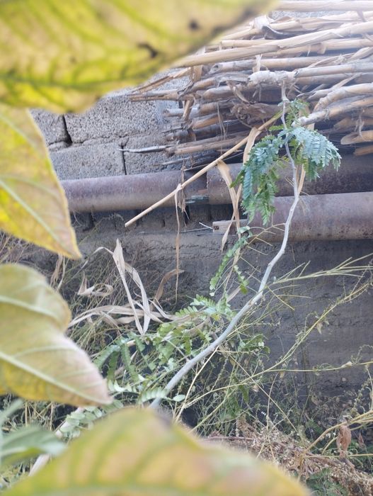 Труба сотилади диаметр 140 , 6 та бор