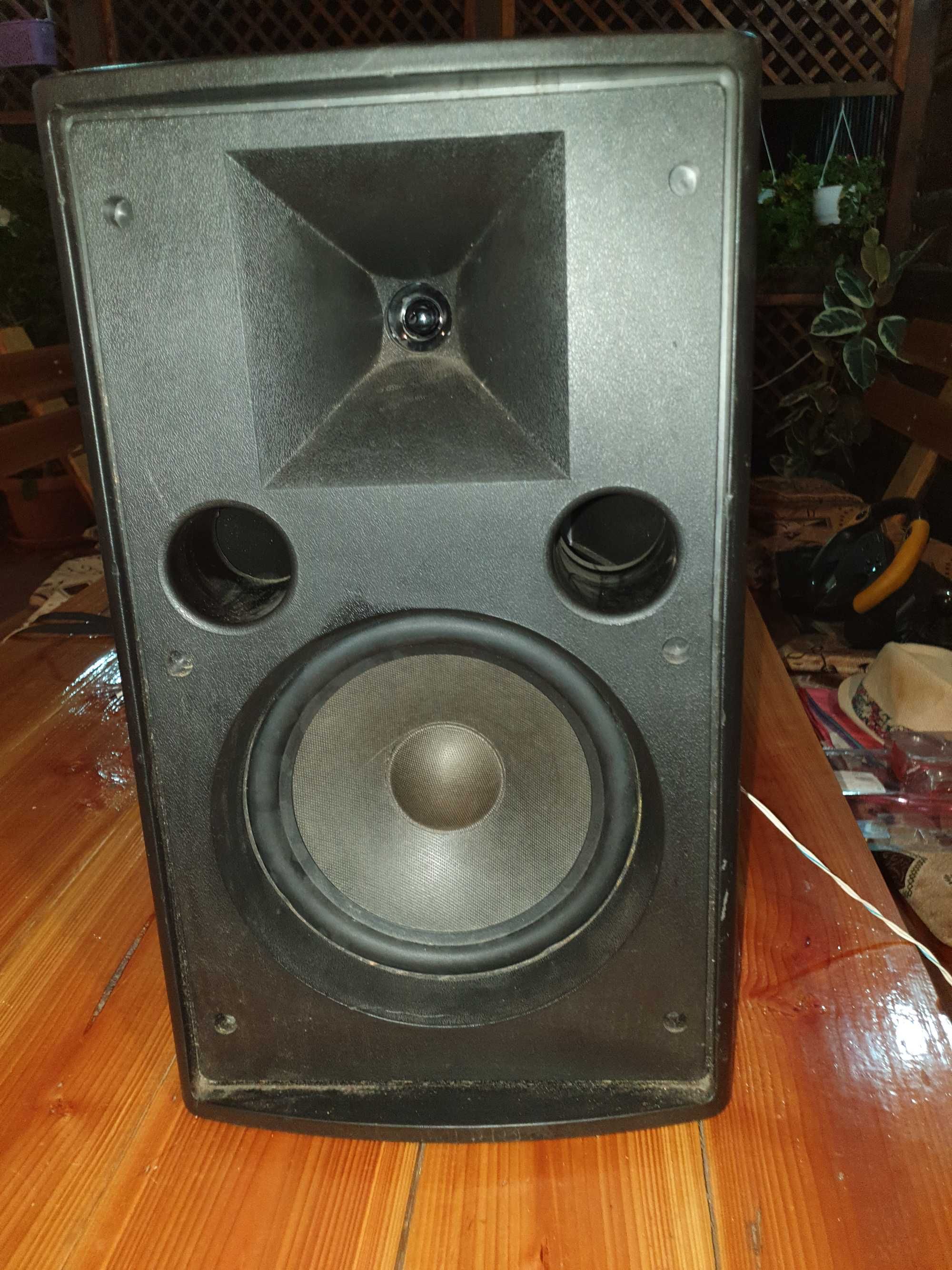 boxa PASIVA 100w