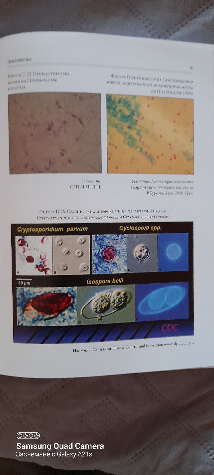 Клинична Паразитология