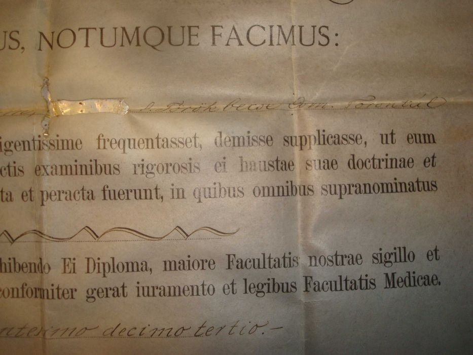 Diploma medicina-farmacie-Universitatea Budapesta- Austro Ungar-1913