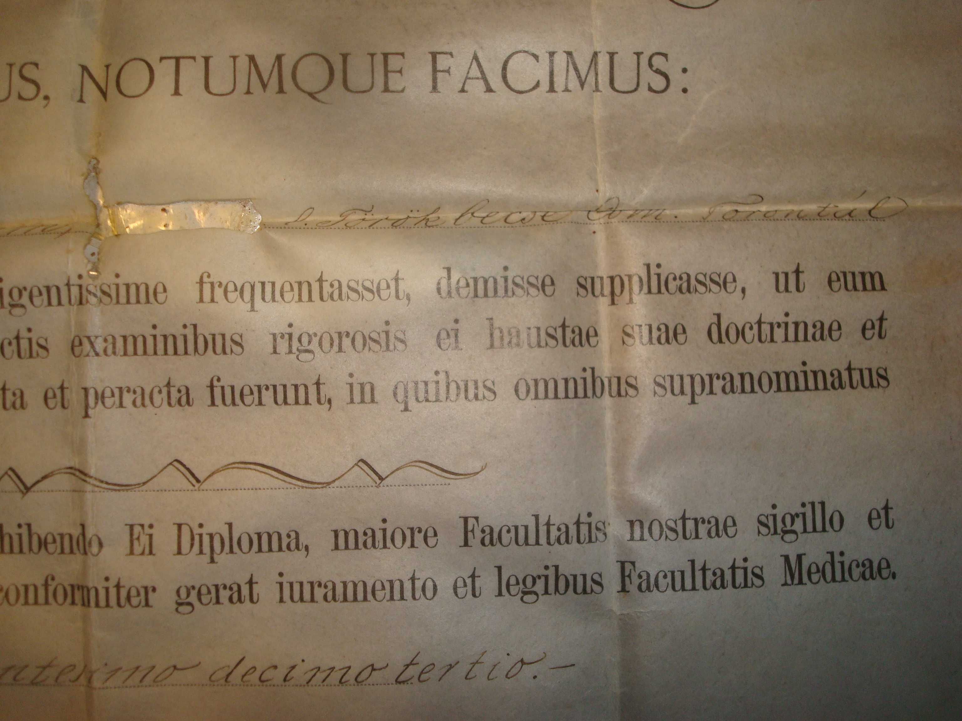 Diploma medicina-farmacie-Universitatea Budapesta- Austro Ungar-1913
