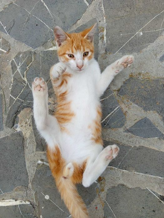 2 baietei si o fetita